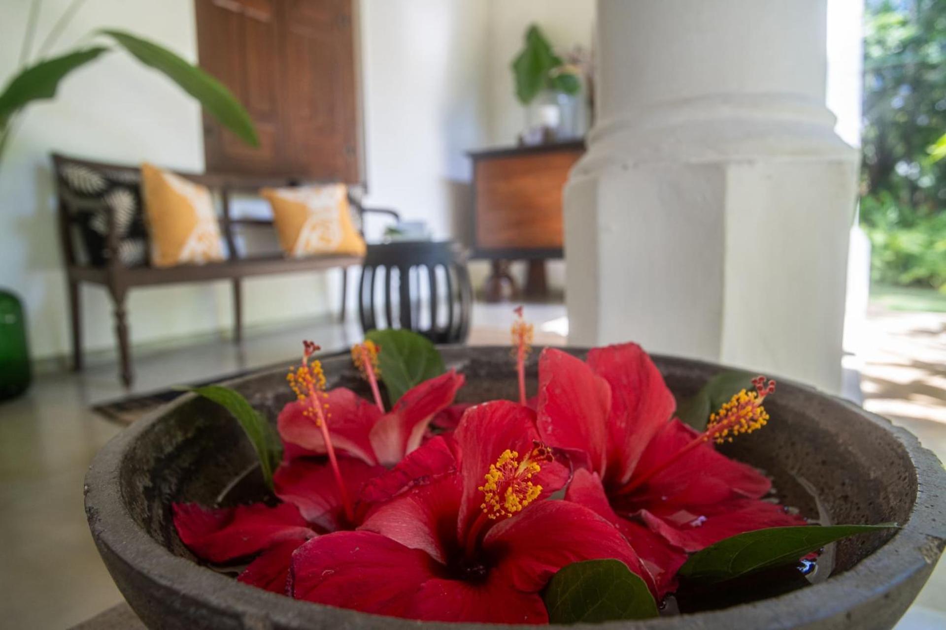 Mo River House Luxury Villa Hikkaduwa Kültér fotó